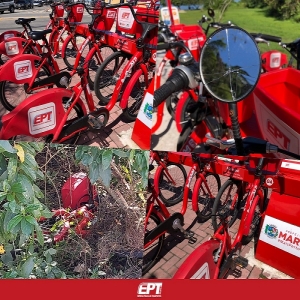 Vermelhinhas sofrem com o vandalismo